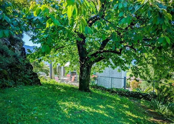 Appt Chailly Sur Avec Terrasse * Montreux